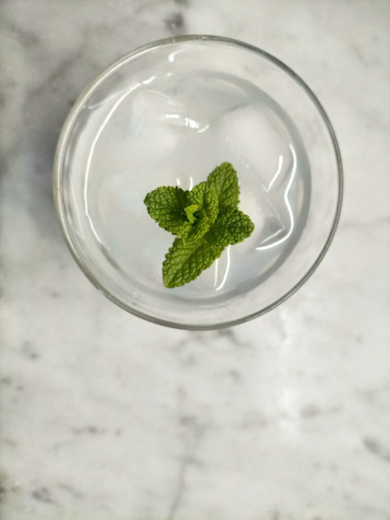 5 plantes que vous pouvez faire pousser juste avec avec de l’eau